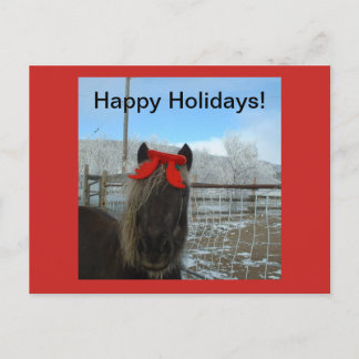 Carte de Noël Shetland Pony