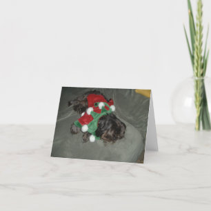 Carte de Noël Shih Tzu