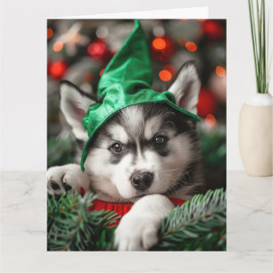 Carte de Noël Sibérienne Husky Elf Puppy