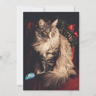 Carte de Noël Smilla V1