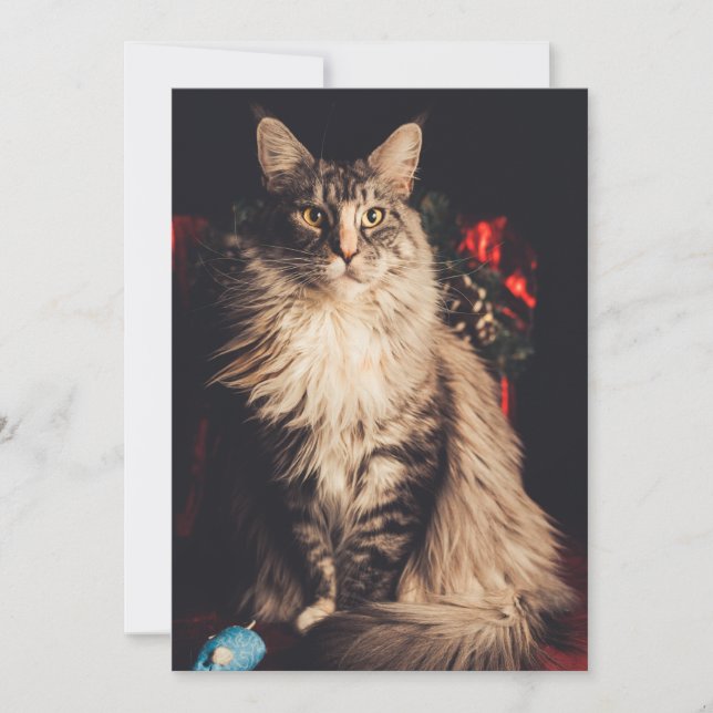 Carte de Noël Smilla V2 (Devant)