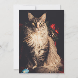 Carte de Noël Smilla V2