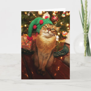Carte de Noël somalienne de chat d'Elf Kitty de
