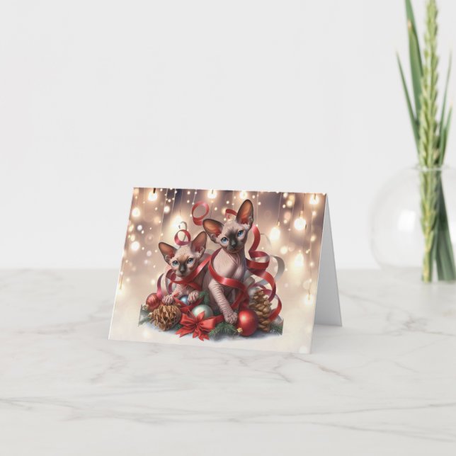 Carte de Noël Sphynx Kittens (Devant)