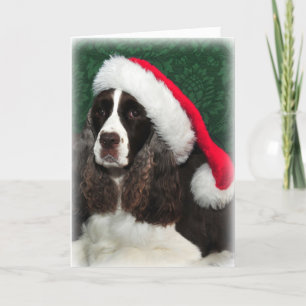 Carte de Noël Springer Spaniel