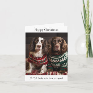 Carte de Noël Springer Spaniel Dogs