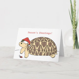 Carte de Noël Star Tortoise personnalisée