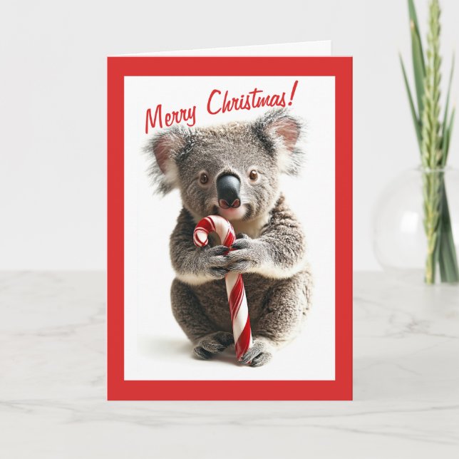 Carte de Noël sucre de canne Koala (Devant)