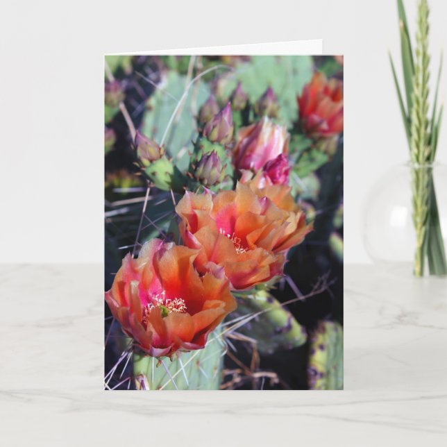 Carte de Noël Sud-Ouest (Devant)