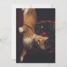 Carte de Noël Tarzan V1