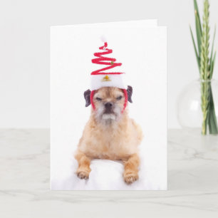Carte de Noël Terrier frontalier