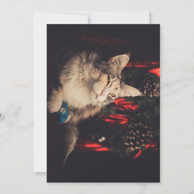 Carte de Noël Titiyo V3 (Devant)