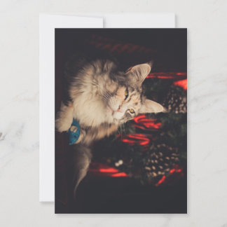 Carte de Noël Titiyo V3