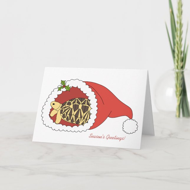 Carte de Noël Tortoise Star birmane (chapeau santa (Devant)