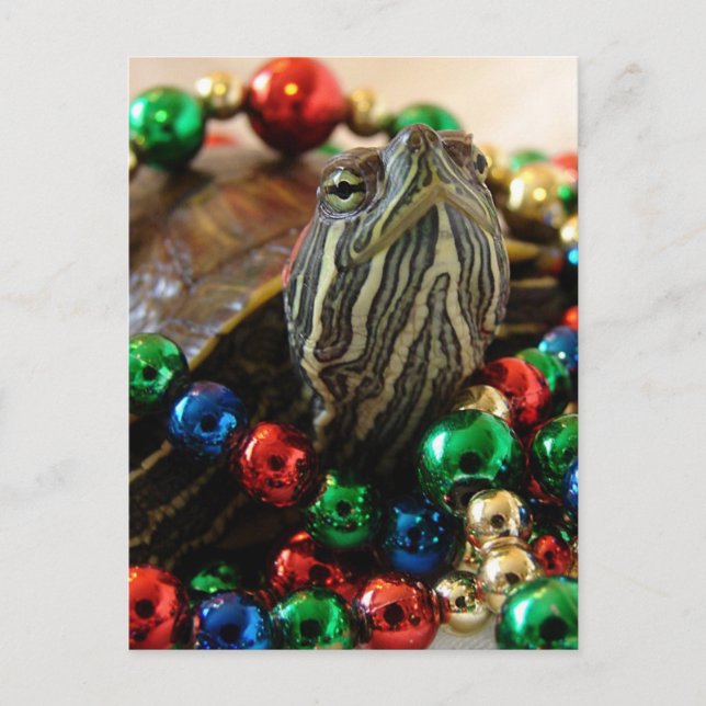 Carte de Noël Turtle (Devant)