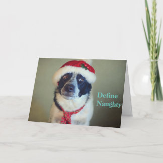Carte de Noël vilaine de border collie