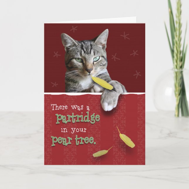 Carte de Noël vilaine humoristique de chat (Devant)