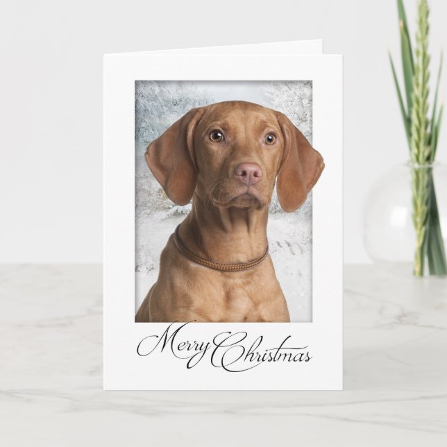 Carte de Noël Vizsla (Devant)