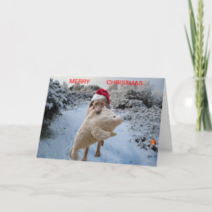 Carte de Noël Weimaraner