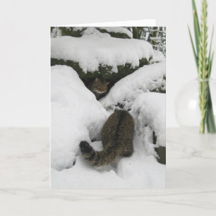 Carte de Noël - Wildcat écossais 7