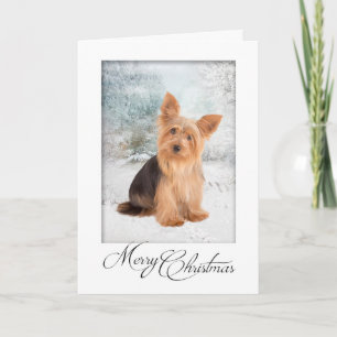 Carte de Noël Yorkie
