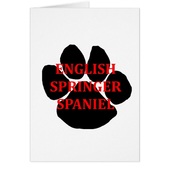 Carte de nom ESS (Devant)