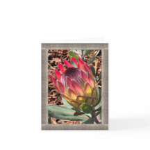 Carte de note à toute occasion avec belle Protea