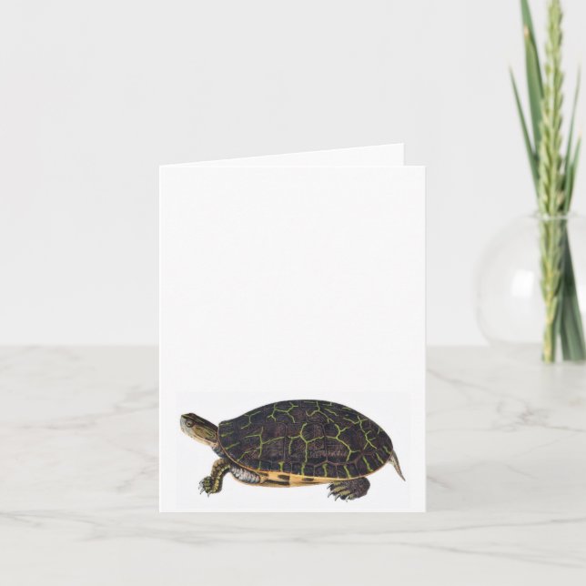 Carte de note adorable de tortue (Devant)