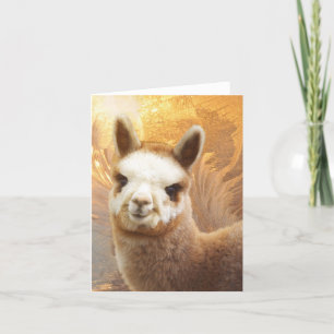 Carte de note Alpaca souriante