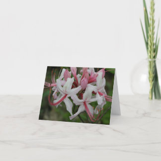 Carte de note Azalea