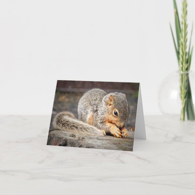 Carte de note Bebe Squirel (Devant)