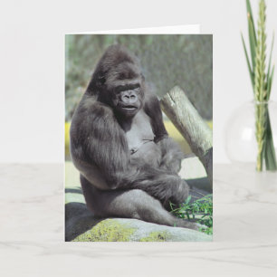 Carte de note Big Gunns Gorilla