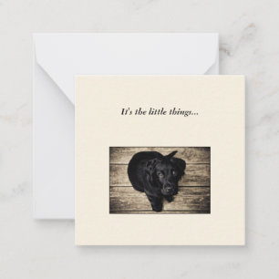 Carte de note Black Dog Mini Thank You