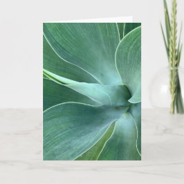 Carte de note blanche Agave