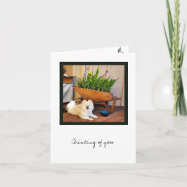 Carte de note blanche Cosmo Collection
