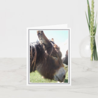 Carte de note blanche Donkey