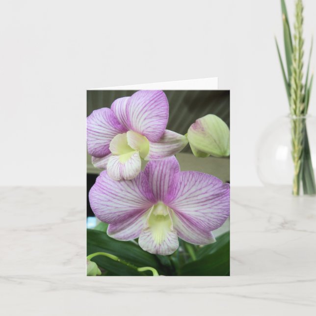 Carte de note blanche et violette pour orchidée (Devant)