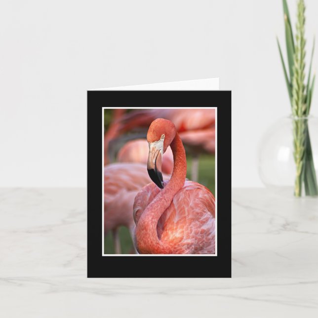 Carte de note blanche Flamant rose rose (Devant)