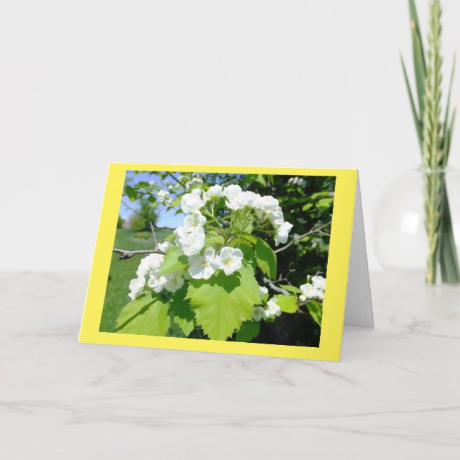 Carte de note blanche Fleurs d'épines (Devant)