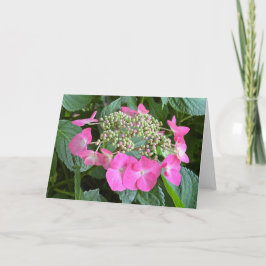 Carte de note blanche Hydrangea en floraison