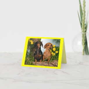 Carte de note blanche pour chien chiot de Dachshun
