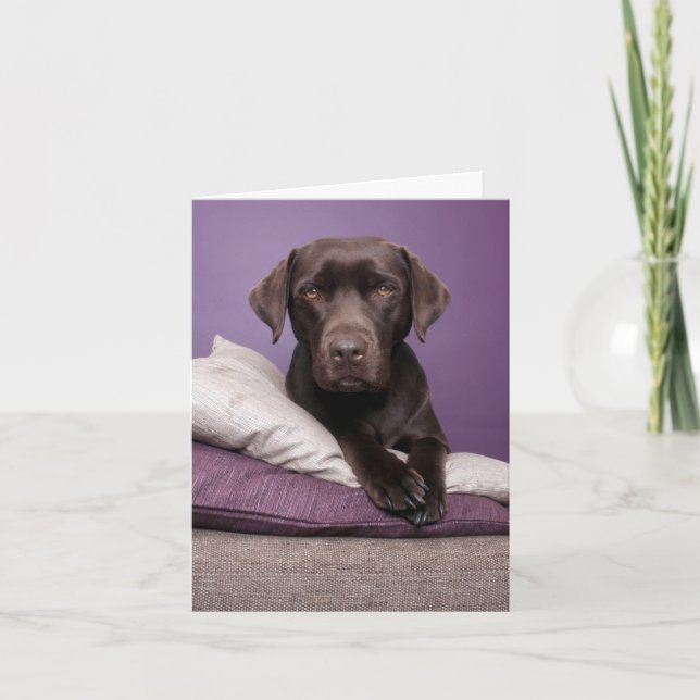 Carte de note blanche pour chien de chiot Brown La (Devant)