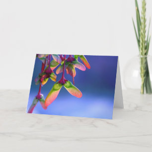 Carte de note blanche pour hélicoptères Red Maple