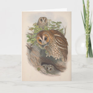 Carte de note blanche vintage Brown pour oiseaux d