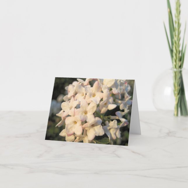 Carte de note Blooms blancs (Devant)