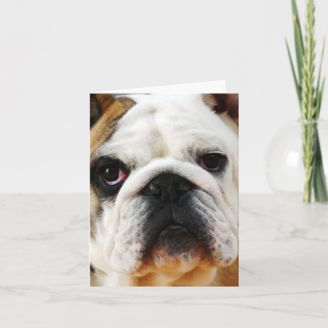 Carte de note Bulldog (Devant)