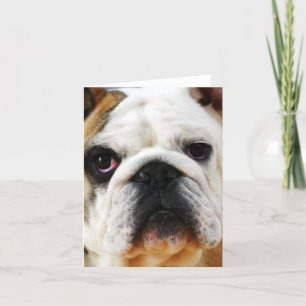 Carte de note Bulldog