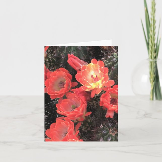 Carte de note Cactus Sunset Coral Blossoms (Devant)