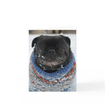Carte de note Carlin enfant - vide