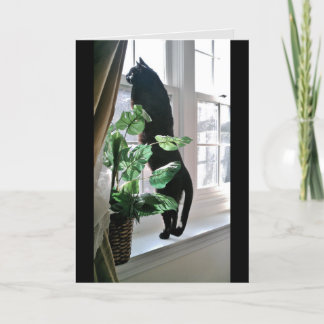 Carte de note Cat at the Window